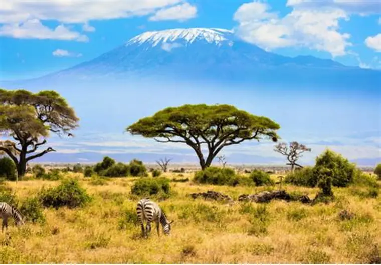 10-Day Tanzania Safari & Zanzibar Escape